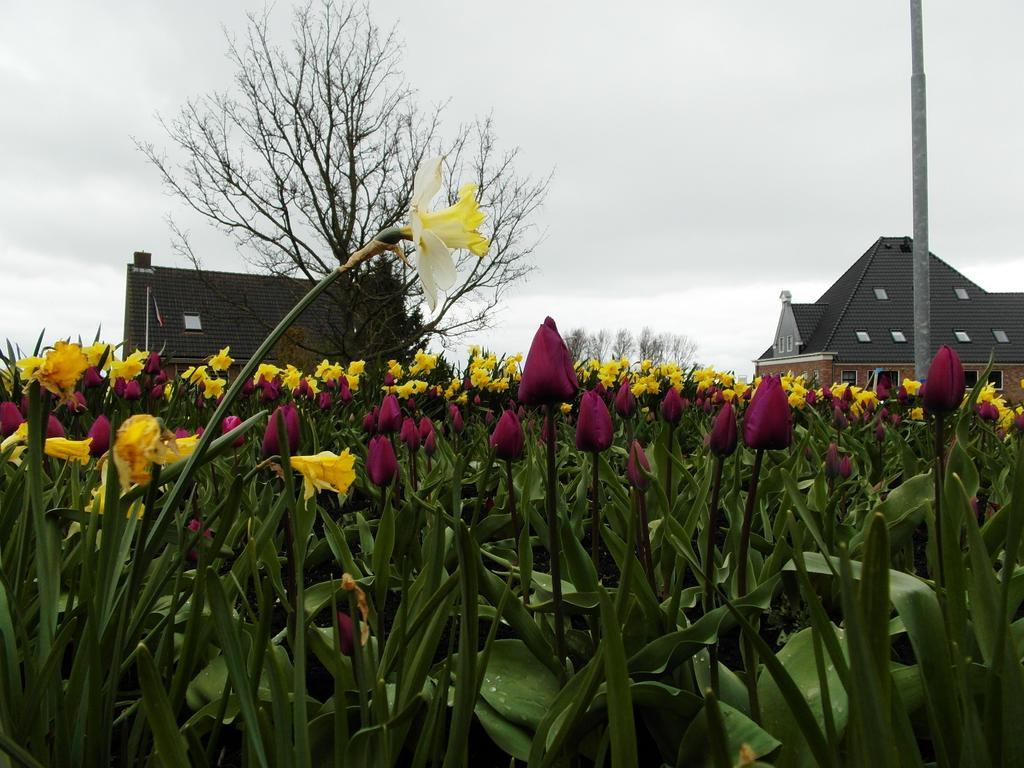 Pension Zonneweelde Oosthuizen Exterior foto